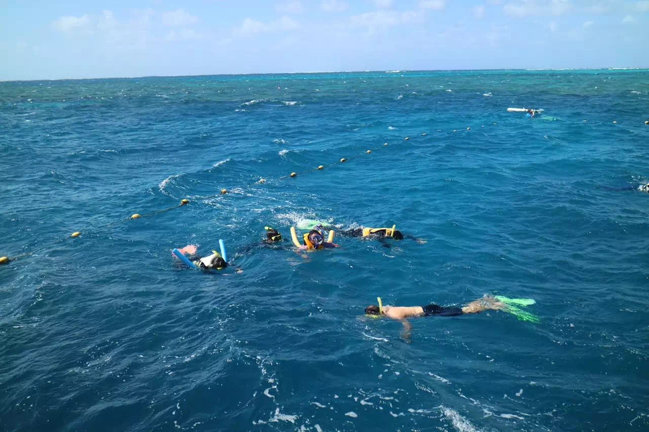 澳新凯雨林大堡礁自然奇迹13日品质游-川航 05.01和05.08和05.15和05.22和05.2